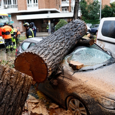 Καταιγίδα Ciaran: Ένας νεκρός στην Γαλλία - Σε συναγερμό Βρετανία και Ολλανδία	