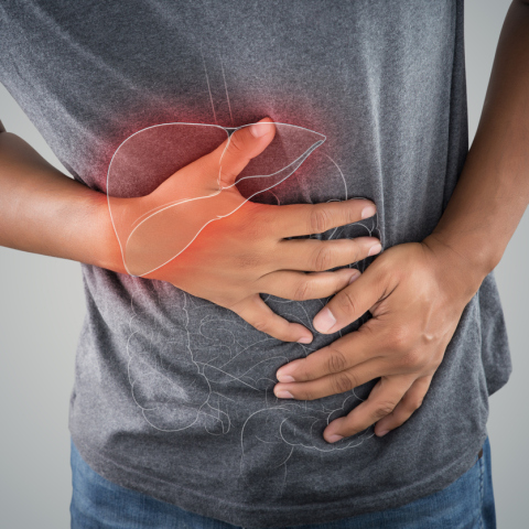 Ποιο «συστατικό-μίμος» επιβραδύνει τον καρκίνο του παγκρέατος;