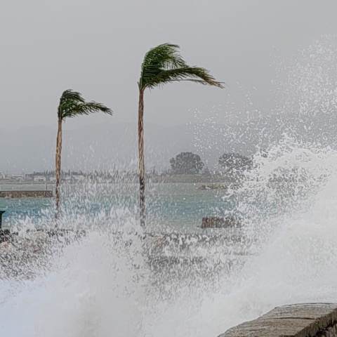 Φοίνικες και κύματα στην προκυμαία στην Αργολίδα δείχνουν το πόσο ισχυροί είναι οι άνεμοι που πνέουν στην περιοχή