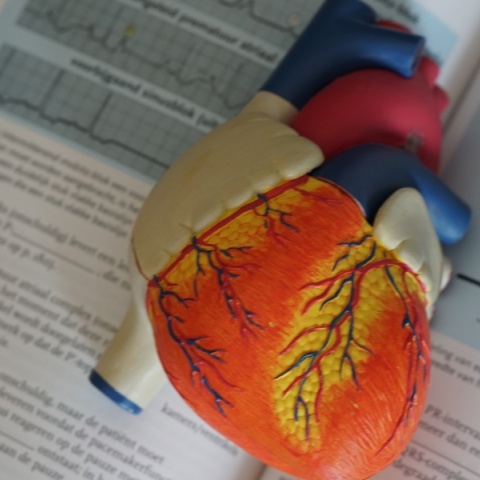 20 απλά βήματα για μια πιο υγιή καρδιά προτείνουν οι καρδιολόγοι 