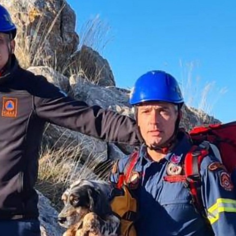 Διάσωση σκύλου από την 6η ΕΜΑΚ – Έπεσε σε σπήλαιο της Αργολίδας