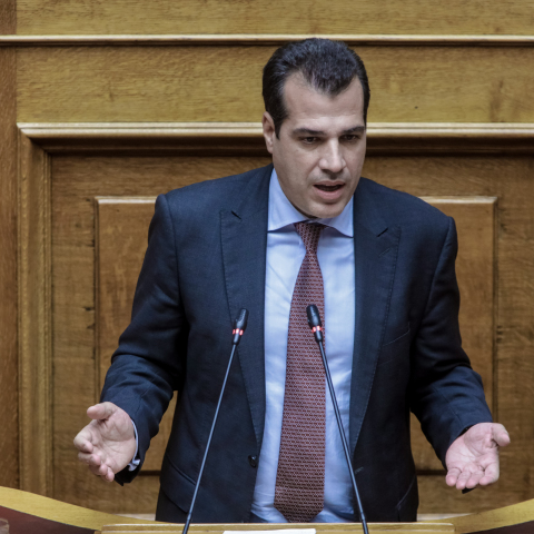 Θάνος Πλεύρης