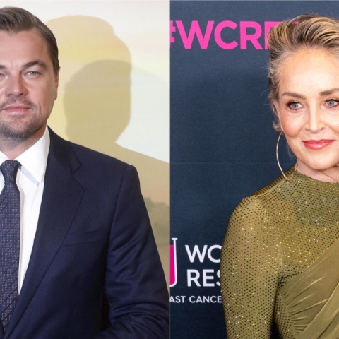 Η Σάρον Στόουν πλήρωσε τον μισθό του Λεονάρντο Ντι Κάπριο το 1995 όταν το στούντιο δεν του έδινε ρόλο