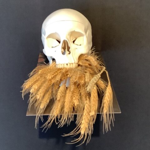 Vanitas. Ιστορίες από τα επέκεινα: Μια έκθεση που παίρνει σκαλπ! 