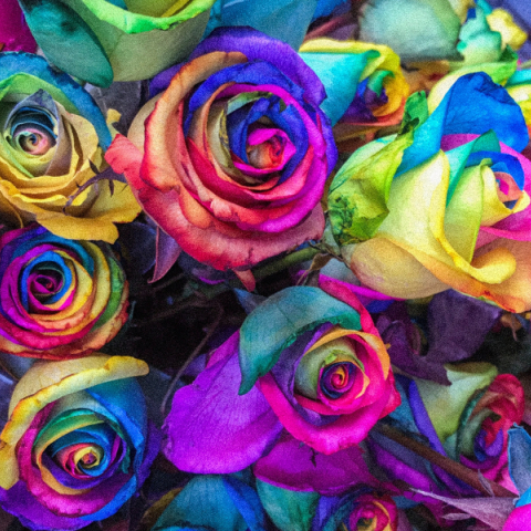 Ποιοι γιορτάζουν σήμερα 8 Δεκεμβρίου