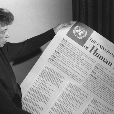 Η Έλινορ Ρούσβελτ με μία αφίσα της Οικουμενικής Διακήρυξης των Δικαιωμάτων του Ανθρώπου