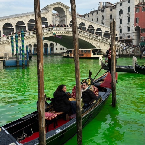 Ακτιβιστές «έβαψαν πράσινη» τη λιμνοθάλασσα της Βενετίας