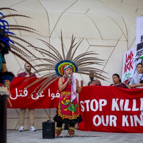 COP28: Οι αυτόχθονες πληθυσμοί του Αμαζονίου διεκδικούν το ρόλο τους ως φύλακες του τροπικού δάσους Για τους ιθαγενείς η ζούγκλα είναι ένα ζωντανό ον με δικαιώματα που πρέπει να προστατευτεί