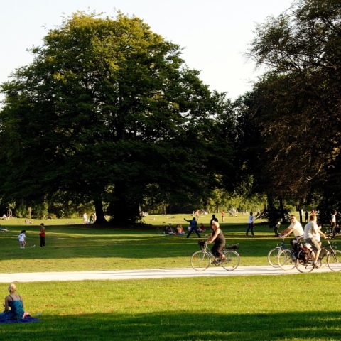 Όσοι ζουν κοντά σε χώρους με πράσινο γερνούν πιο αργά σε κυτταρικό επίπεδο, σύμφωνα με νέα μελέτη Η επαφή με τη φύση μπορεί να αυξήσει τη βιολογική ηλικία κατά 2,2 έως 2,6 χρόνια