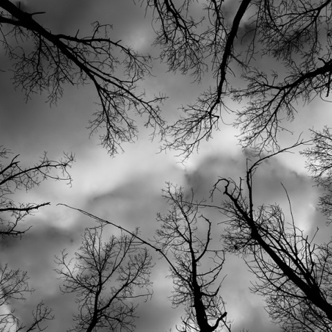 Ψυχρή «εισβολή» θα παρουσιάσει ο καιρός την Παρασκευή με βροχές και χιόνια - Έως 10 βαθμούς κάτω η θερμοκρασία 