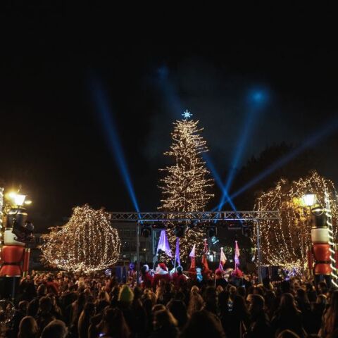 Τρεις μαθητές τραυματίστηκαν σε συμπλοκή στα Τρίκαλα