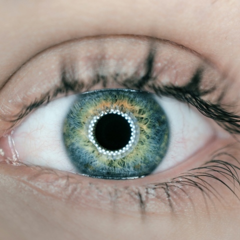 Σύστημα τεχνητής νοημοσύνης εντοπίζει τον αυτισμό από φωτογραφίες του αμφιβληστροειδούς  Με 100% ακρίβεια υποστηρίζουν επιστήμονες από το πανεπιστήμιο Yonsei της Ν. Κορέας