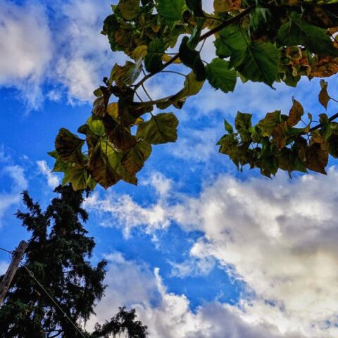 Γενικά αίθριος καιρός αναμένεται για το Σάββατο