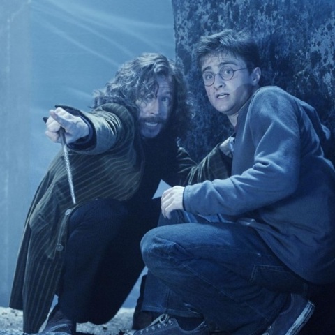 Ο Γκάρι Όλντμαν πιστεύει ότι η ερμηνεία του στις ταινίες Χάρι Πότερ ως «Sirius Black» ήταν μέτρια