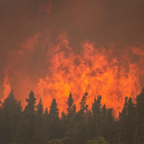 Πυρκαγιές στον Καναδά 