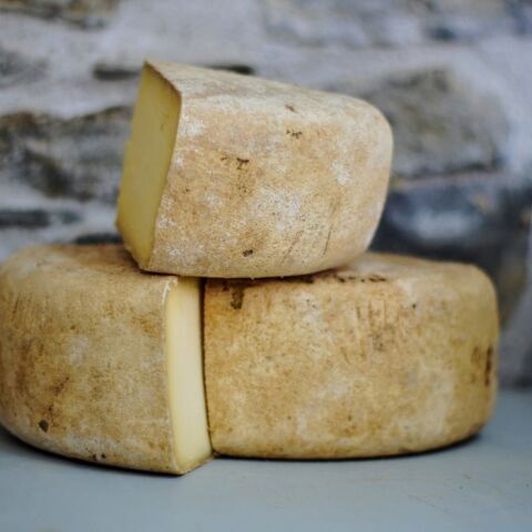 Βρετανία: 30 κρούσματα E. coli και ένας νεκρός από κατανάλωση τυριού