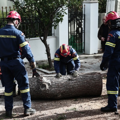 485 κλήσεις έλαβε σε όλη την χώρα η Πυροσβεστική για κοπές δέντρων και παροχών βοήθειας