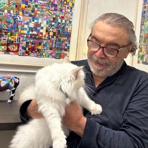 Εξαφάνιση-μυστήριο του «Χίρο», μιας άσπρης γάτας στην πόλη Σπολέτο της Ιταλίας