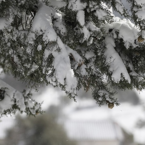 Χιόνια, βροχές και άνεμοι ισχυρών εντάσεων στα πελάγη: Tο «προφίλ» του καιρού την Τετάρτη