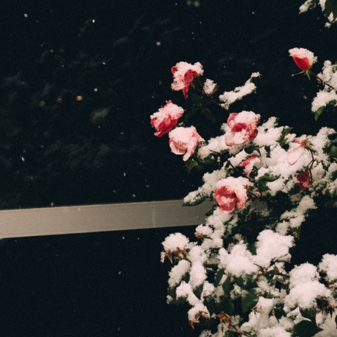 Εορτολόγιο: Σήμερα, 11 Ιανουαρίου γιορτάζει…