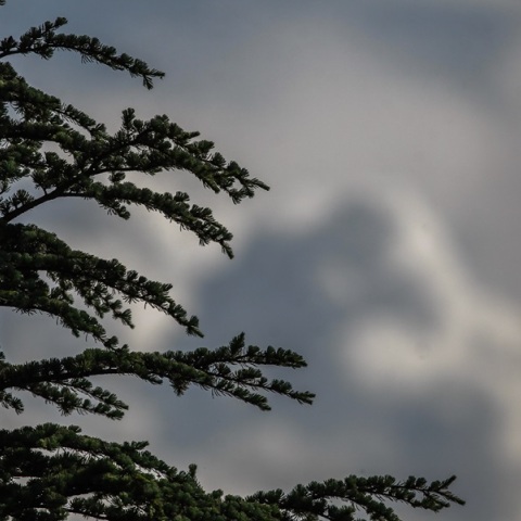 Άστατος ο καιρός την Τρίτη - Πού αναμένονται καταιγίδες - Άνεμοι έως 7 μποφόρ στο Αιγαίο