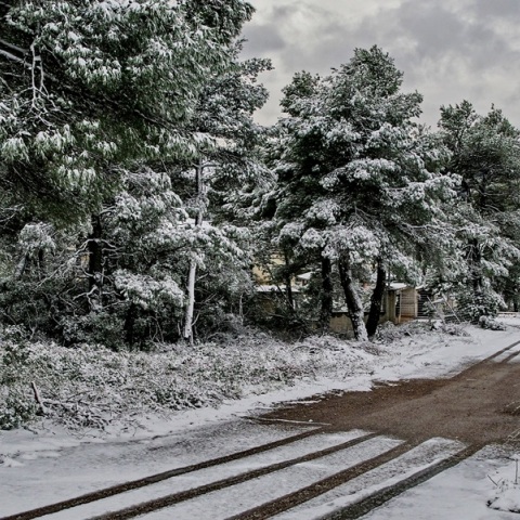 Κλειστή η λεωφόρος Πάρνηθας λόγω χιονόπτωσης από το ύψος του τελεφερίκ