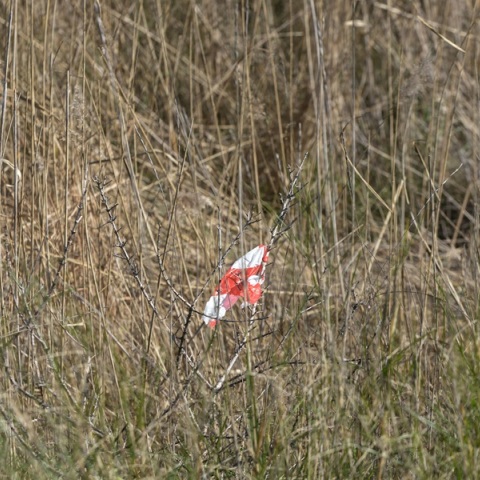 Γ. Τσούκαλης για Μεσολόγγι: Το κινητό του Μπάμπη ήταν ανοιχτό για να ακούγεται η συνομιλία με τον κρεοπώλη