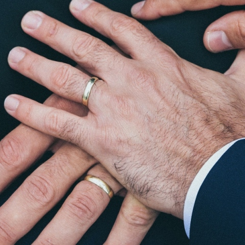 Ομόφυλα ζευγάρια: Σε δημόσια διαβούλευση έως 31 Ιανουαρίου - Η στάση Βορίδη