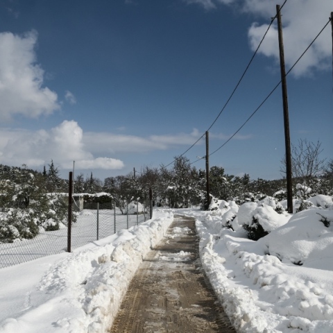Χιονίζει στα ορεινά της Εύβοιας: Κλειστά τα σχολεία στον Δήμο Μαντουδίου – Αγίας Άννας και Λίμνης