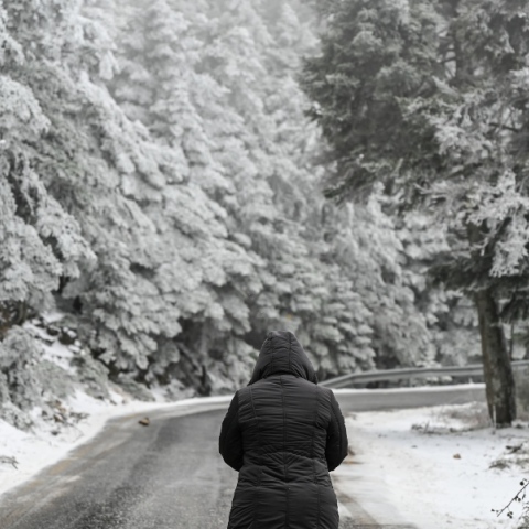 Καιρός: Χιονοπτώσεις θα σημειωθούν στο μεγαλύτερο μέρος της Ελλάδας για σήμερα Δευτέρα