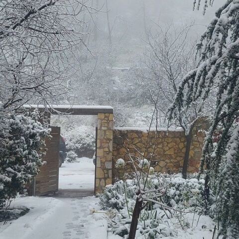 Στα «λευκά» Πάρνηθα και Ιπποκράτειος Πολιτεία - Μοναδικές εικόνες από το ολόλευκό τοπίο στην Αττική