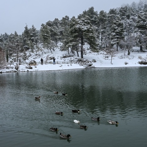 Γ.Τσατραφύλλιας: Δεν μπορεί ο κλάδος μας να γίνεται σάκος του box - Ενημερώστε τον κόσμο για τις ελλείψεις