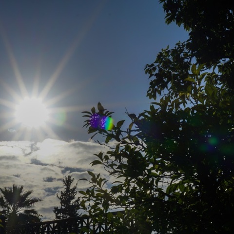 Ο «Ωμέγα Εμποδιστής» φέρνει ανοιξιάτικες συνθήκες - Αίθριος ο καιρός το Σάββατο με άνοδο της θερμοκρασίας