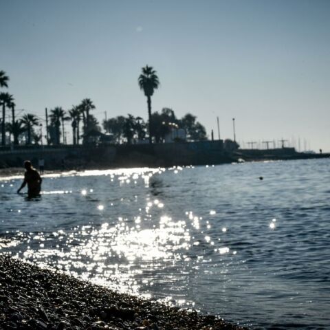 Θοδωρής Κολυδάς: Εξηγεί γιατί οι Αλκυονίδες διαρκούν περισσότερο στην Αττική