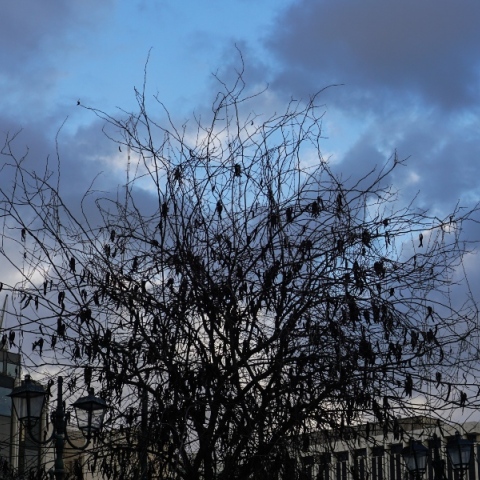 Συννεφιασμένος ο καιρός αύριο Σάββατο με τοπικές βροχές