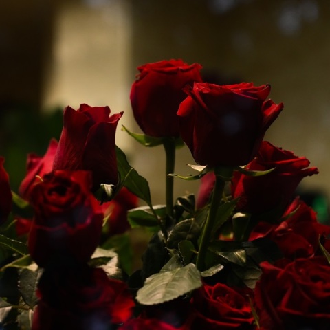 Άγιος Βαλεντίνος: Γιατί γιορτάζει στις 14 Φεβρουαρίου