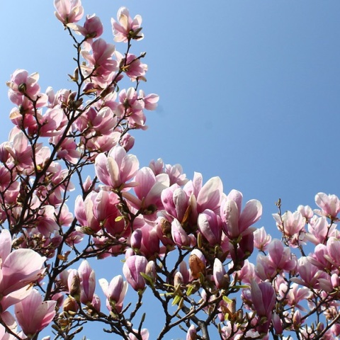 Εορτολόγιο: Σήμερα, 20 Φεβρουαρίου 2024, γιορτάζει…