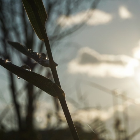 Καιρός σήμερα