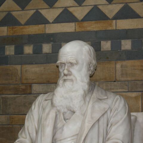 «Το Κεφάλαιο»: Το δώρο του Καρλ Μαρξ στον Δαρβίνο