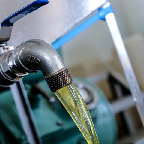 Eurostat: Tον Ιανουάριο, η τιμή του ελαιολάδου στην Ε.Ε ήταν 50% υψηλότερη από τον αντίστοιχο του 2023