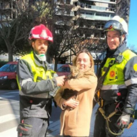 Βαλένθια: Οκτώ ημέρες μετά τη πυρκαγιά, βρέθηκε επιζών ο γάτος Κόκο
