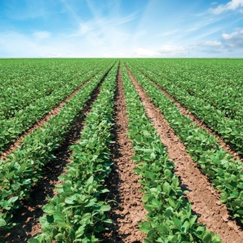 Αίνος: Τι απαντά για το πρόστιμο 