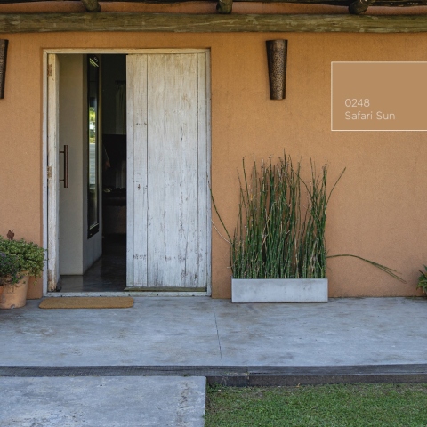 Safari Sun: Χρώμα της Χρονιάς από την Vitex για το 2024