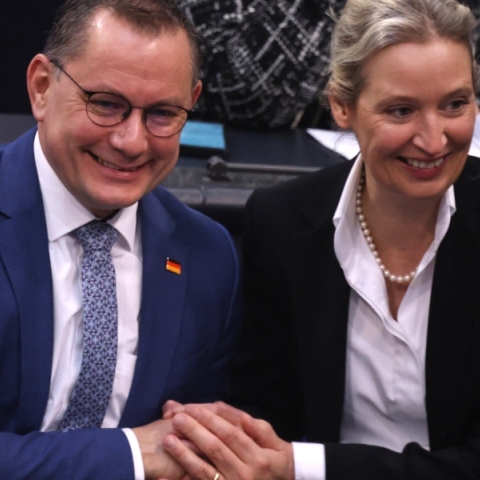 Στο εδώλιο η «Εναλλακτική για τη Γερμανία» - Ύποπτη για ακροδεξιά δράση