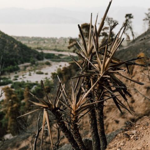 Η Ελλάδα βρίσκεται στη ζώνη κινδύνου λόγω της Κλιματικής Κρίσης