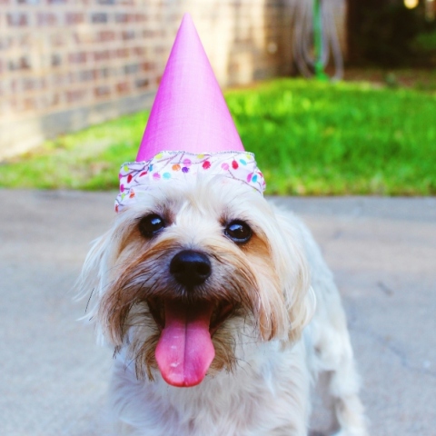 Εορτολόγιο: Σήμερα 15 Μαρτίου 2024, γιορτάζει…