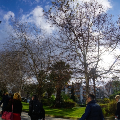 Σχεδόν αίθριος προβλέπεται ο καιρός σήμερα Πέμπτη στο μεγαλύτερο μέρος της χώρας