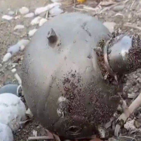 Νάρκη από την Ουκρανία «ξεβράστηκε» στη Ρόδο - Εντοπίστηκε από περαστικό