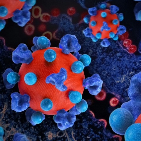 AIDS: Επιστήμονες «αφαίρεσαν» τον ιό HIV από μολυσμένα κύτταρα