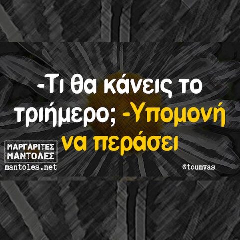 Αστεία memes, ατάκες, YOLO βίντεο, viral, αστεία video στο TikTok που ανέβηκαν στο διαδίκτυο και μας έκαναν να γελάσουμε.